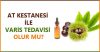 at-kestanesi-varis-tedavisi