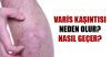 varis-kasintisi