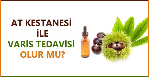 at-kestanesi-varis-tedavisi