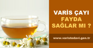 varis çayı